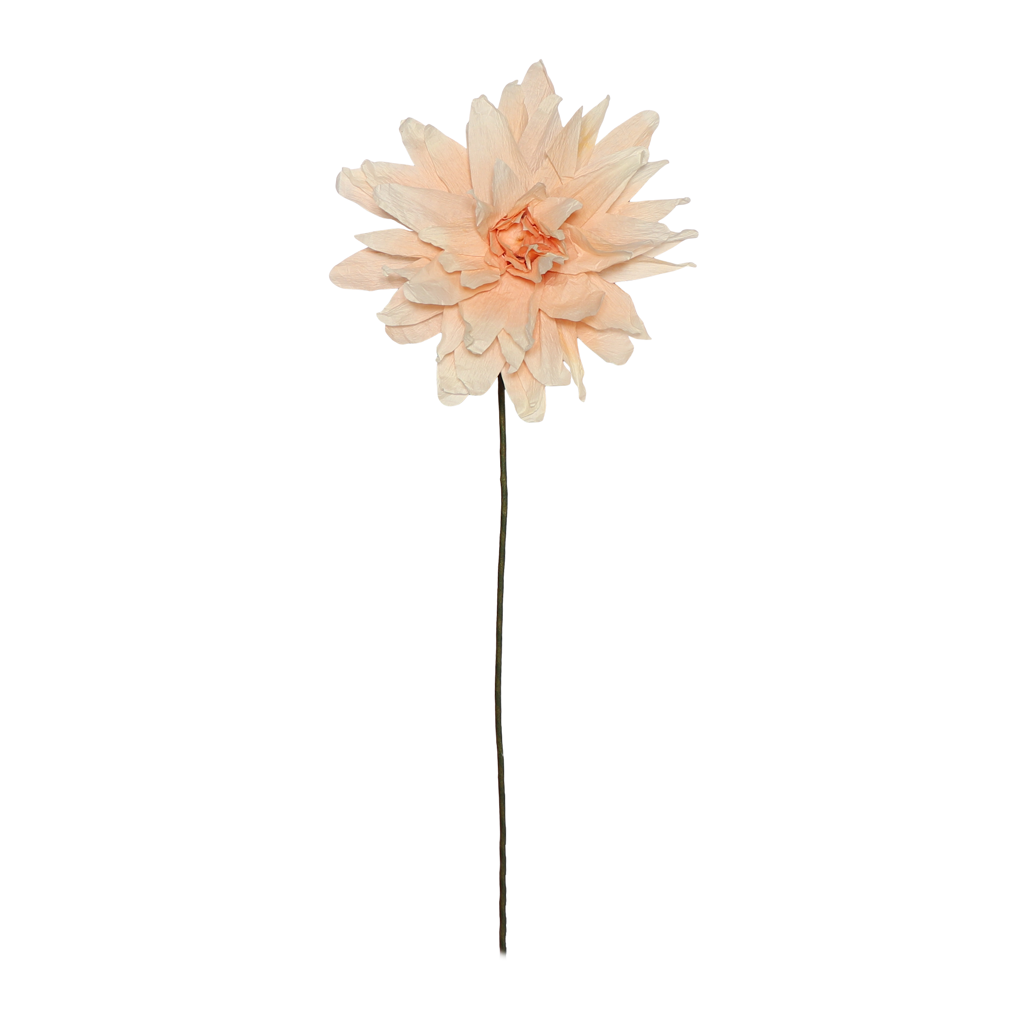 Grand Dahlia Paper Flower, Nude