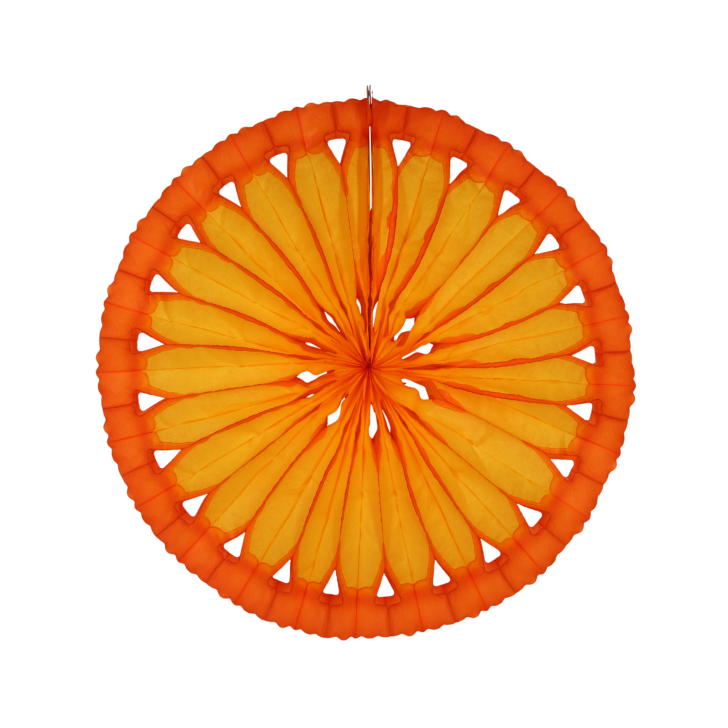 Citrus Slice Fan 40cm, Set of 3