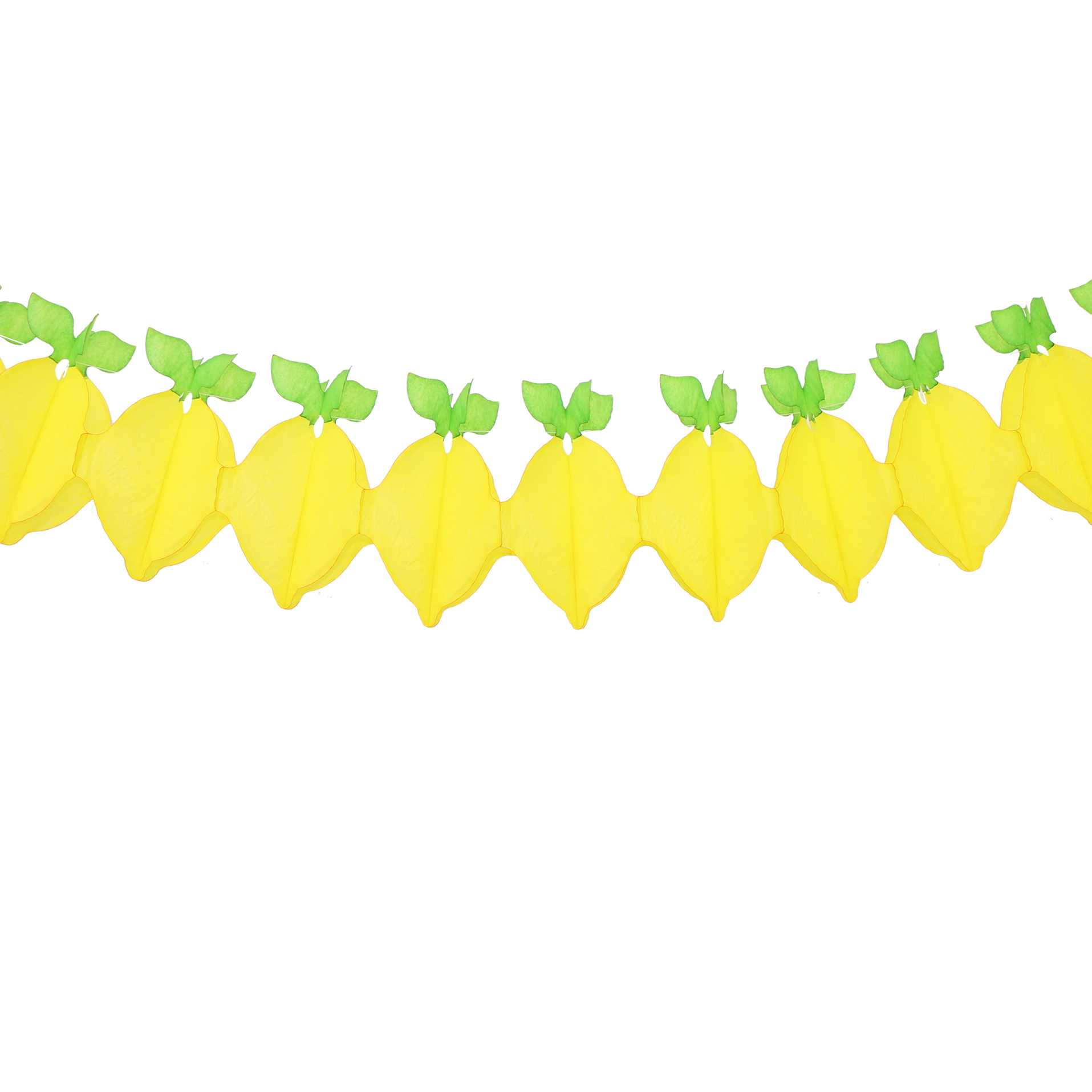 Lemon Fruit Garland 3.6m